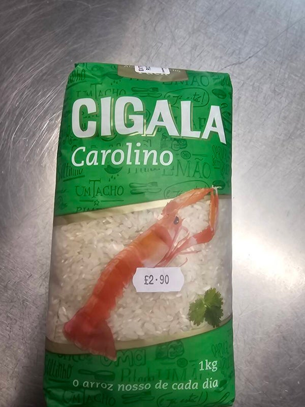 Cigala carolino