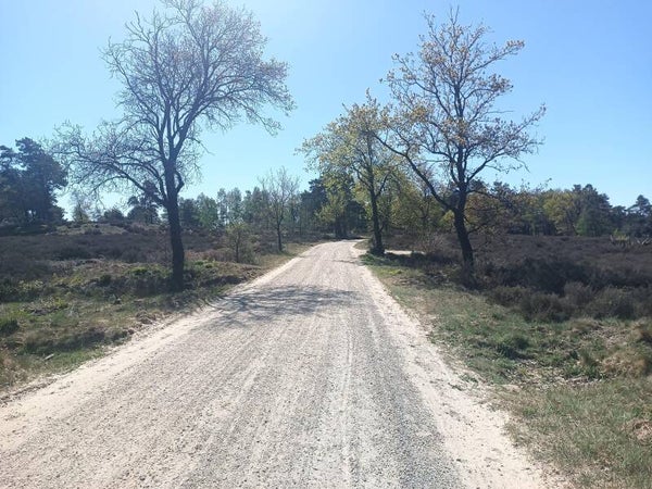 9 mei – Lenterit Veluwe – start vanaf 12.00 uur.