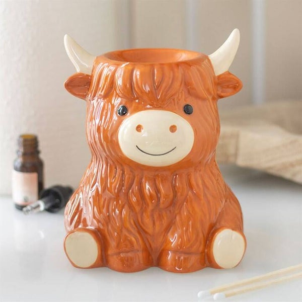 Quemador Highland Cow