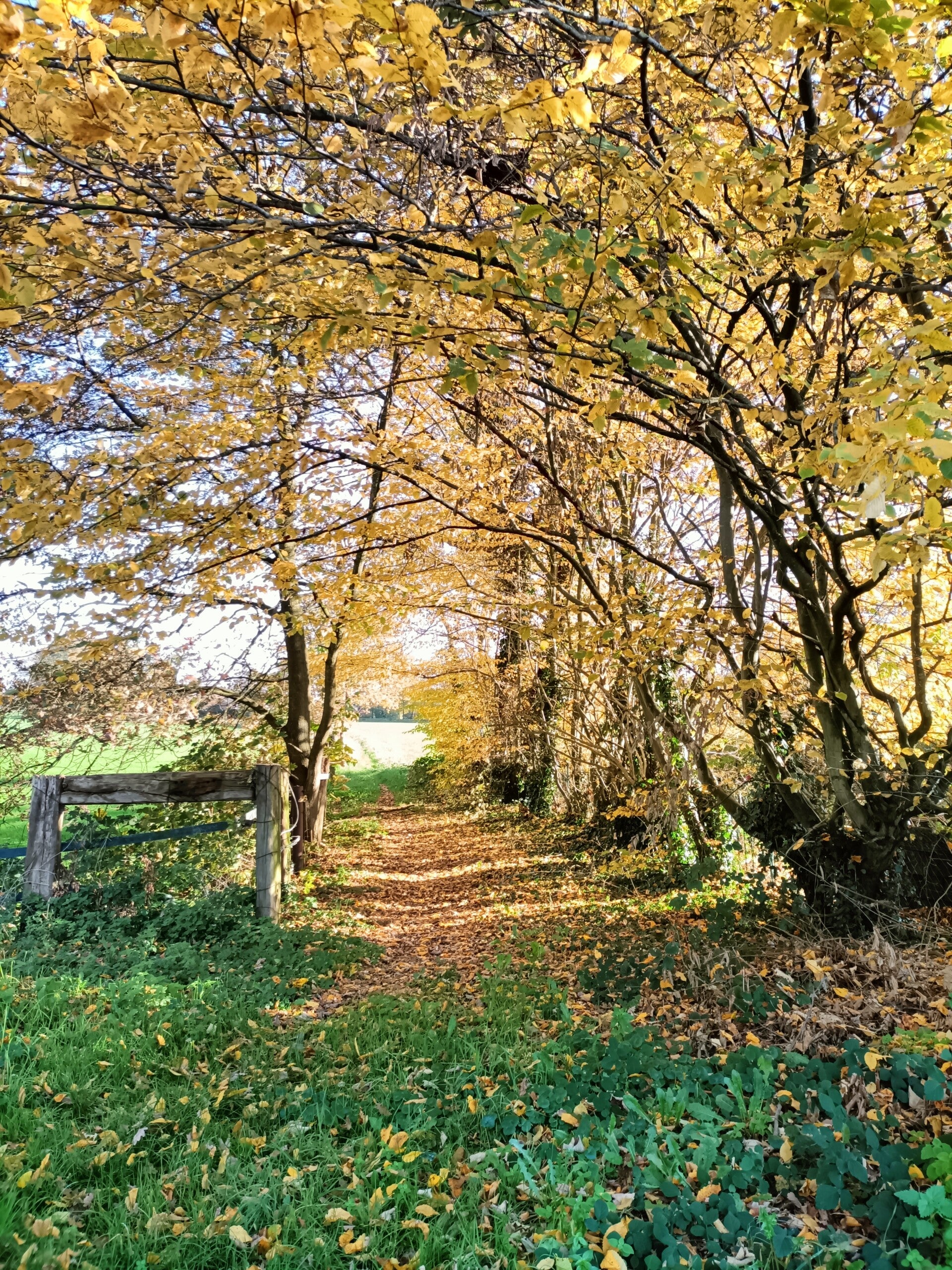 HSP vrouw in licht en schaduw – loslaten van oude energie en omarmen van innerlijk licht.