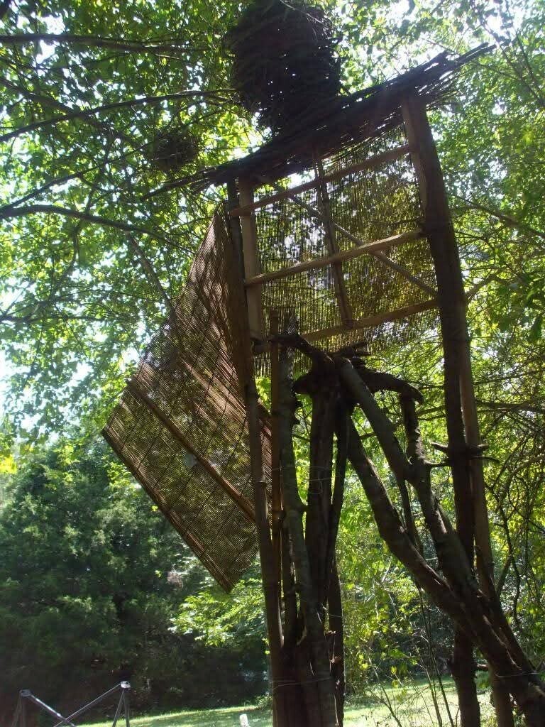 Building the frame with bamboo, fallen branches and grapevine and need a bamboo window blind.