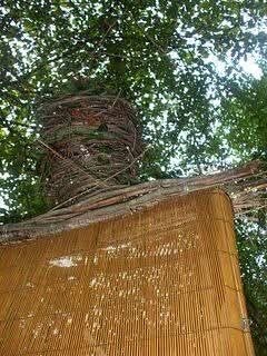 His head was made of grapevine with flexible things as the frame for the head.