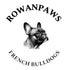 Rowanpaws