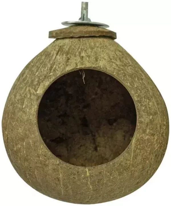 Maison en noix de coco