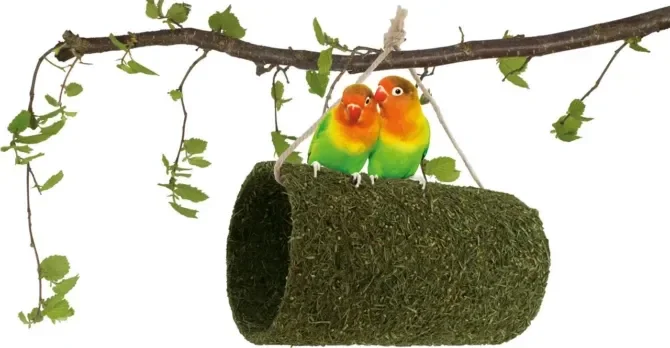 Tunnel pour picorer 380g