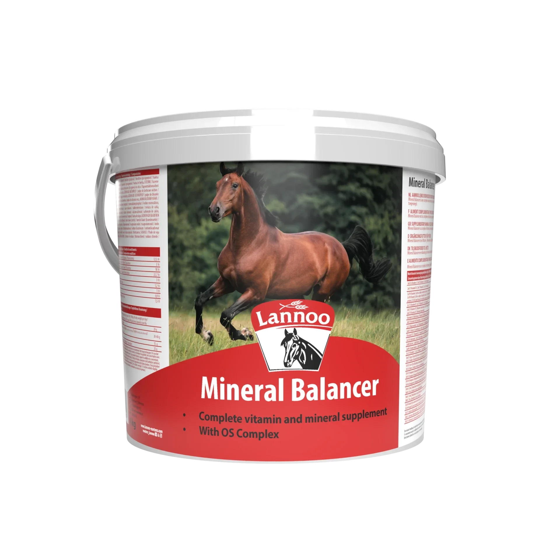 Mineral Balancer 4Kg
