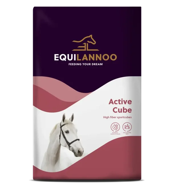 Equilannoo Active Cube 20Kg