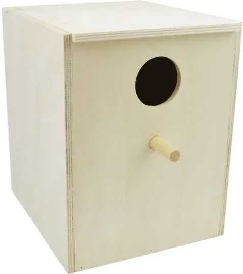 Grande perruche verticale