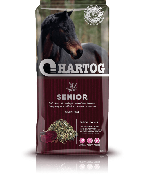 Hartog senior