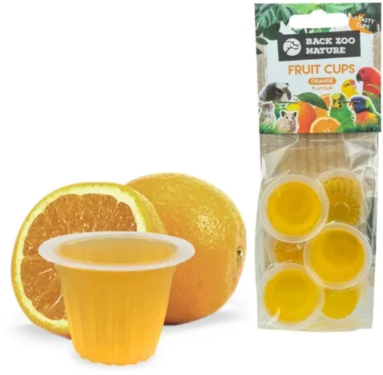 Coupe de fruit Orange
