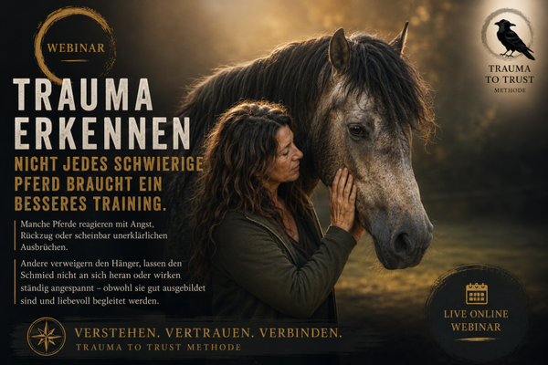 Trauma erkennen – Wenn Verhalten eine Geschichte erzählt