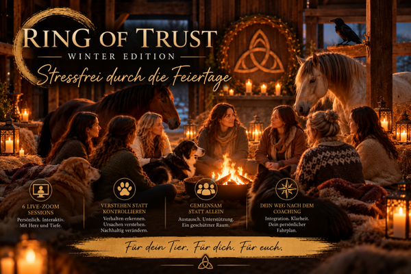 Ring of Trust - Winter Edition
