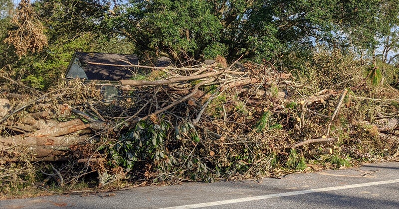 Debris material piled together filled with tree branches and leafs.