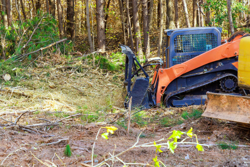 One skid steer mulching trees in a open field to enhance propery astetics.
