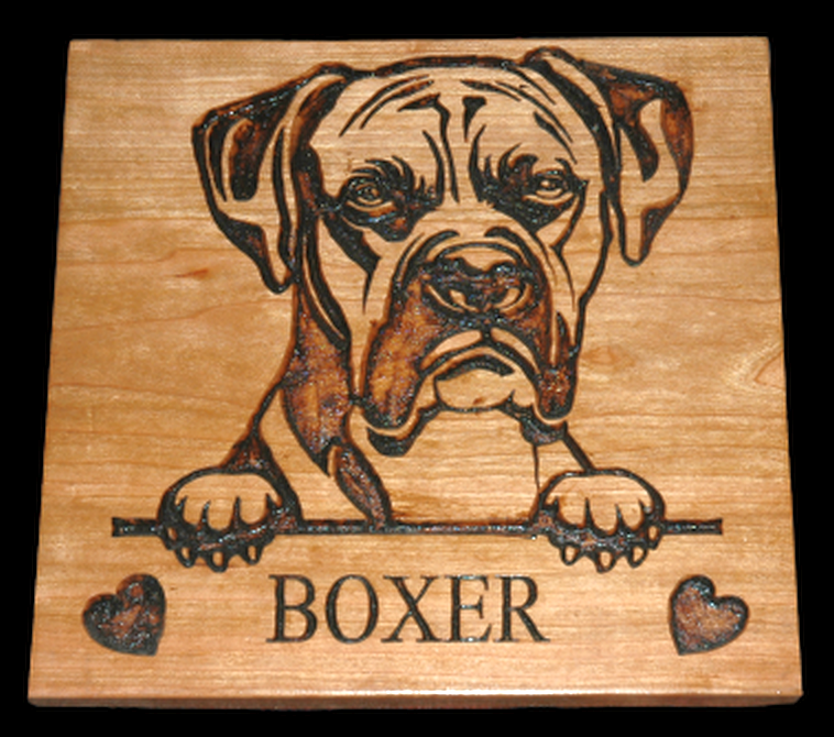 BOXER 01 PLAQUE
