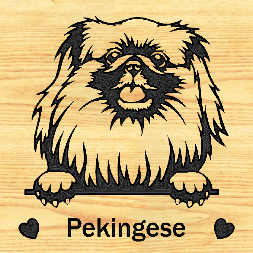PEKINGESE 02 - CUSTOM
