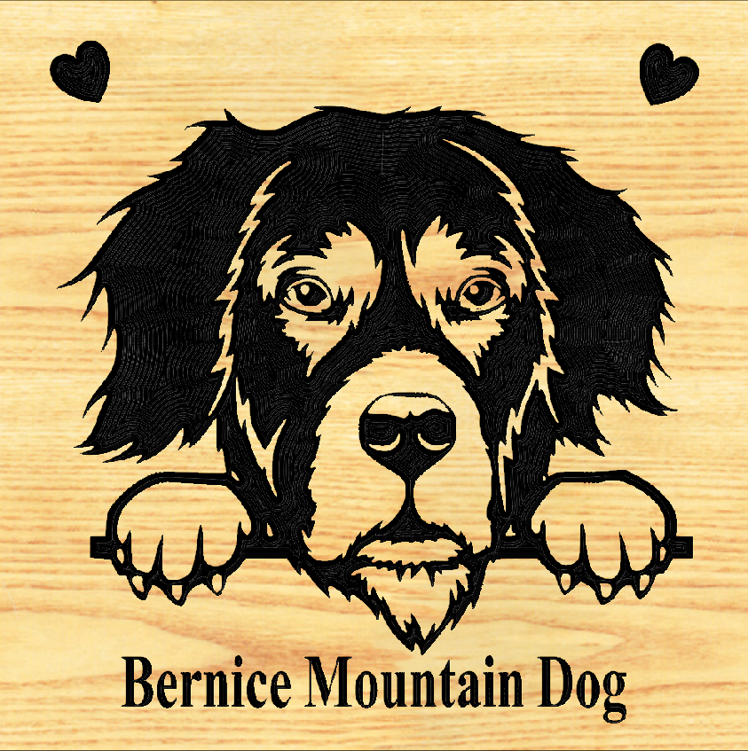 BERNESE MOUNTAIN DOG 03  PLAQUE