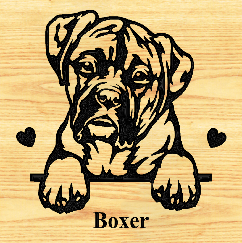 BOXER 03  PLAQUE