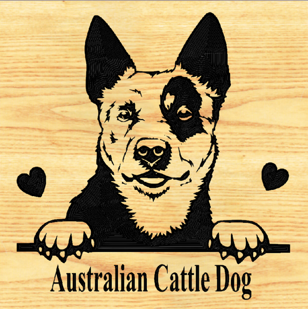 AUSTRALIAN CATTLE DOG 02  - CUSTOM