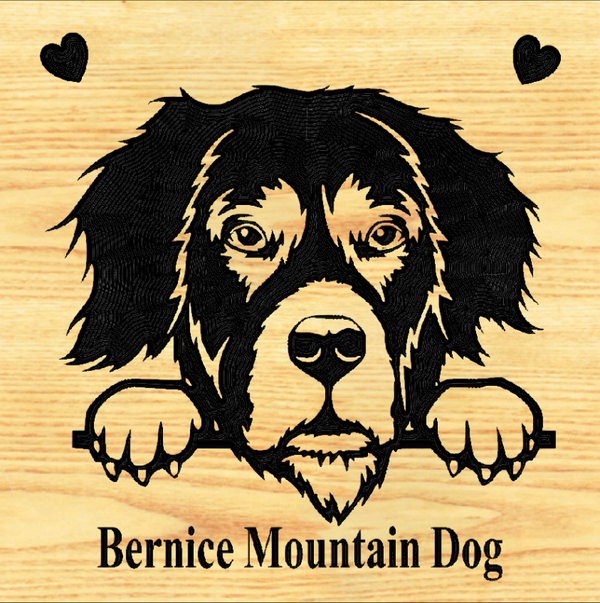 BERNESE MOUNTAIN DOG 03 - CUSTOM
