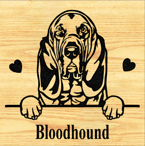 BLOODHOUND 02 PLAQUE