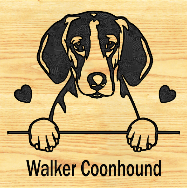 COONHOUND - WALKER 08 - CUSTOM