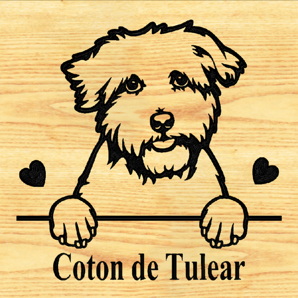 COTON DE TULEAR PLAQUE