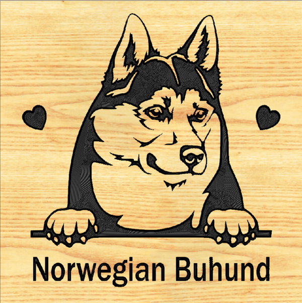 NORWEGIAN BUHUND 01 - CUSTOM