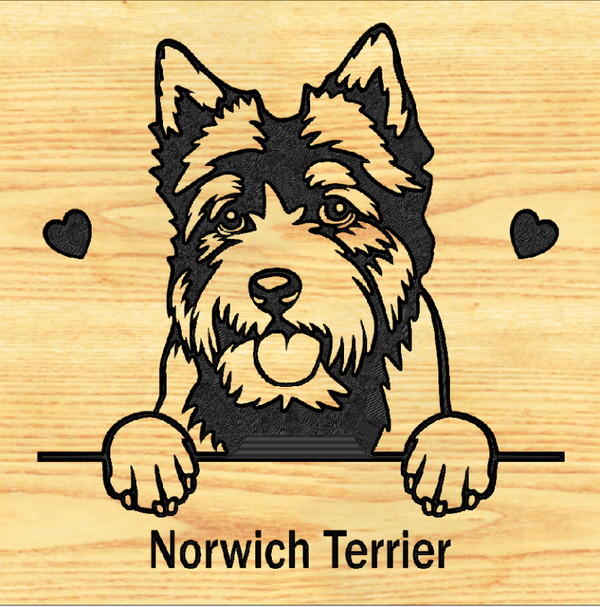 NORWICH TERRIER 01 PLAQUE