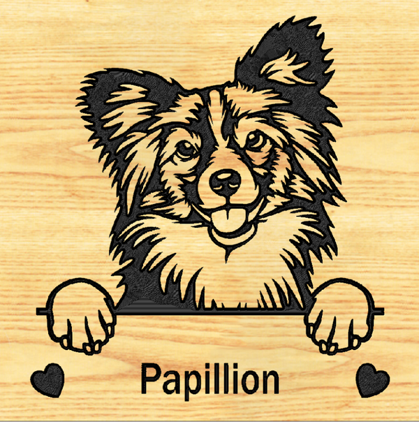 PAPILLION 03 - CUSTOM
