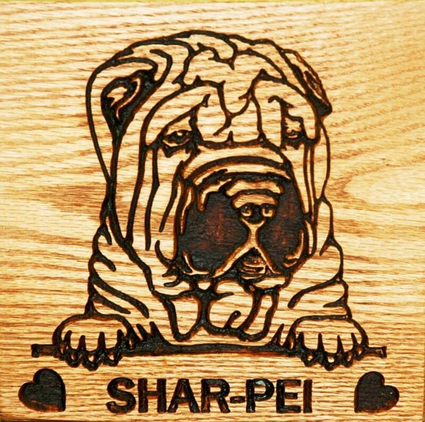 SHAR-PEI 01  - CUSTOM