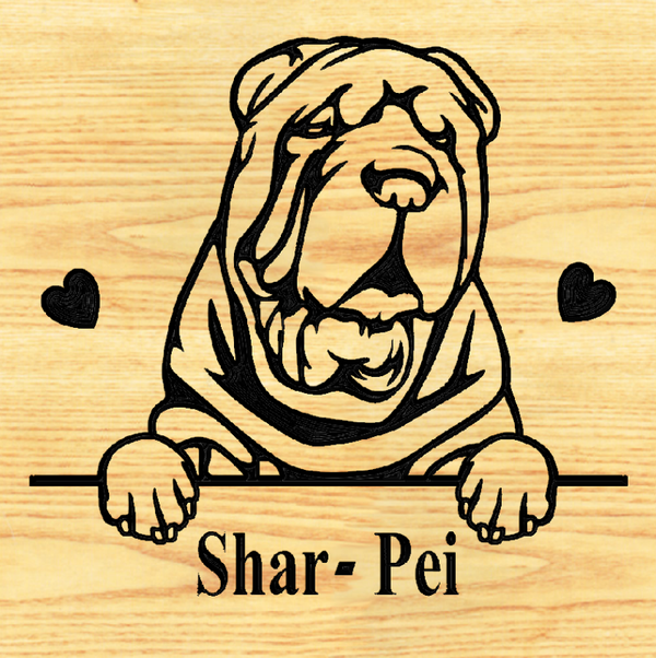 SHAR-PEI 02  - CUSTOM