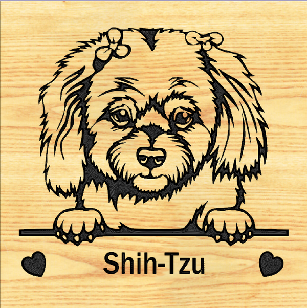 SHIH-TZU 02 - CUSTOM