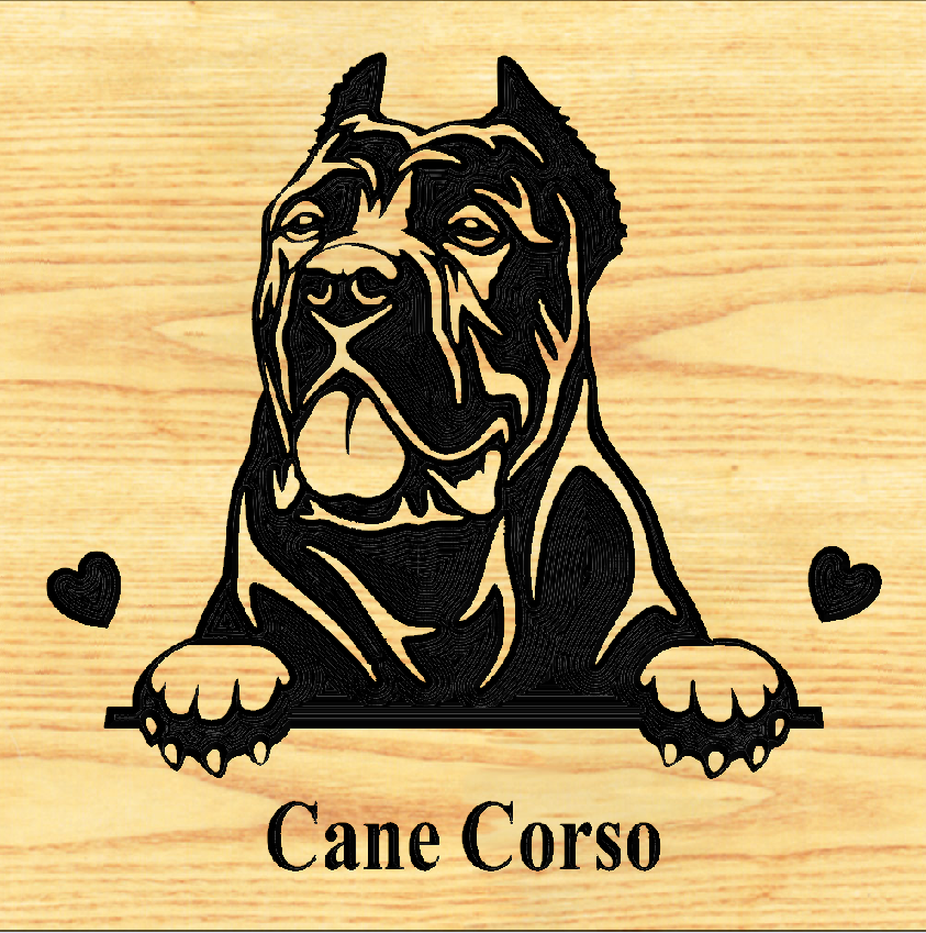 CANE CORSO 03 - CUSTOM