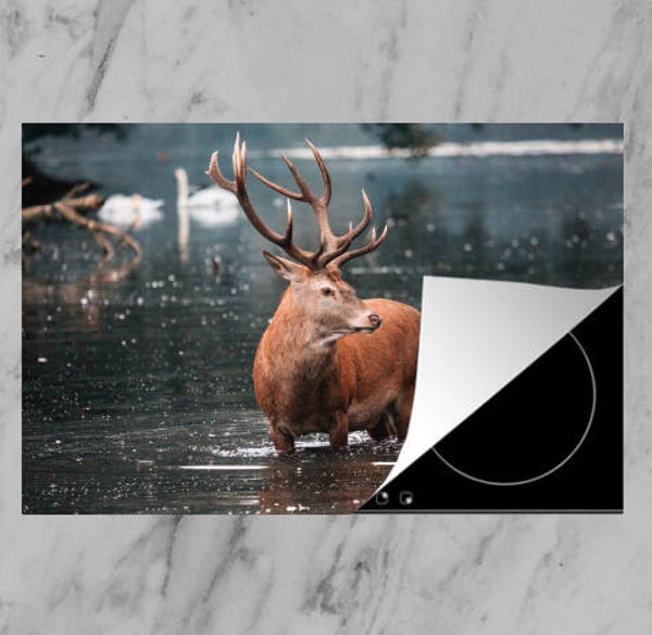 Inductie beschermer Hert 2