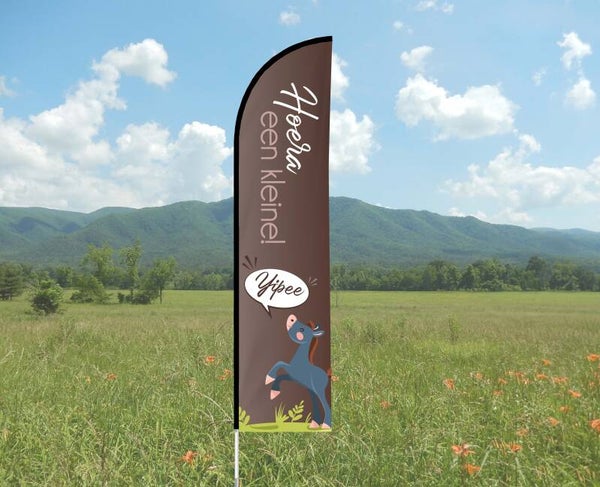 Geboorte beachflag Pony