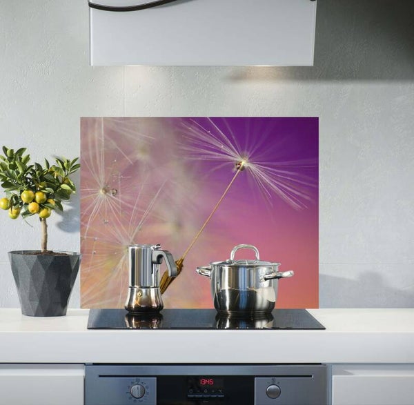 Spatscherm Paardenbloem pluisje