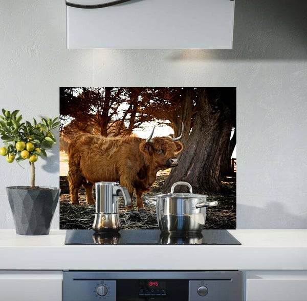 Spatscherm Hooglander 12