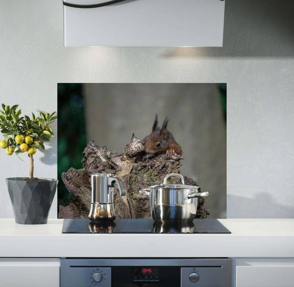 Spatscherm Eekhoorntje J. 2