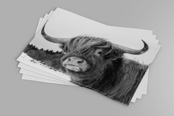 Placemats Hooglander zwart wit