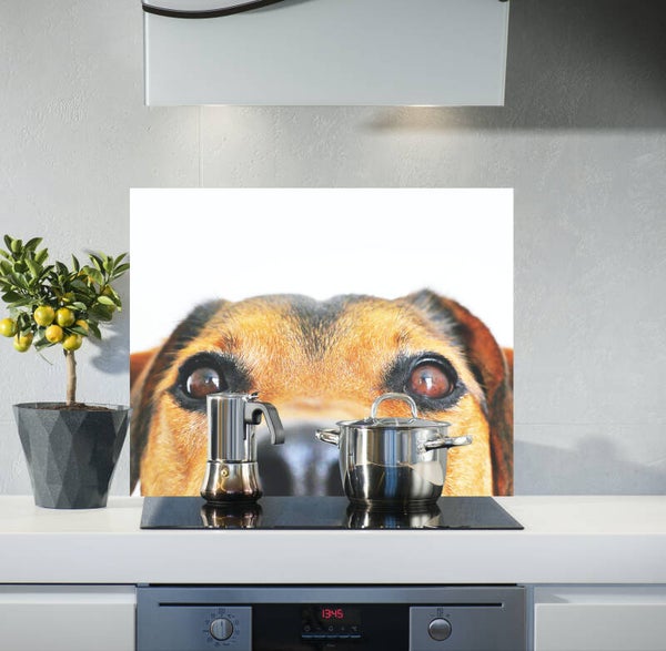 Spatscherm Hondensnuit