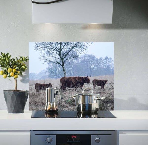 Spatscherm Hooglanders J. 7