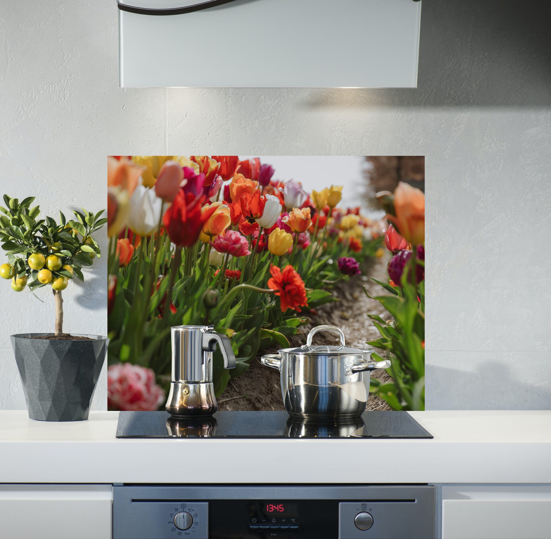 Spatscherm Tulpen veld