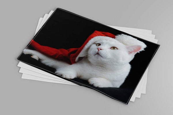 Placemats Kerst kat