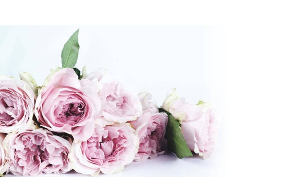 Inductie beschermer Roze bloemen