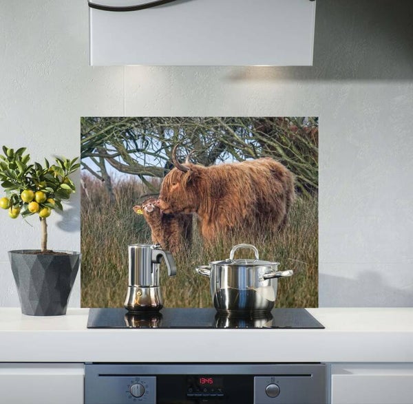 Spatscherm Hooglanders J. 9