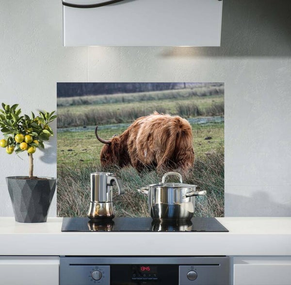 Spatscherm Hooglander J. 6