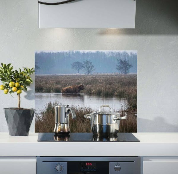 Spatscherm Hooglander J. 8