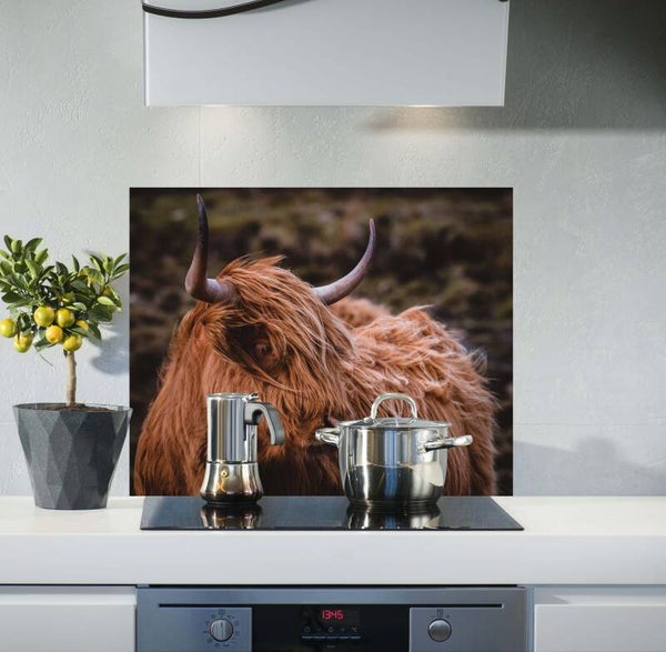 Spatscherm Hooglander 4