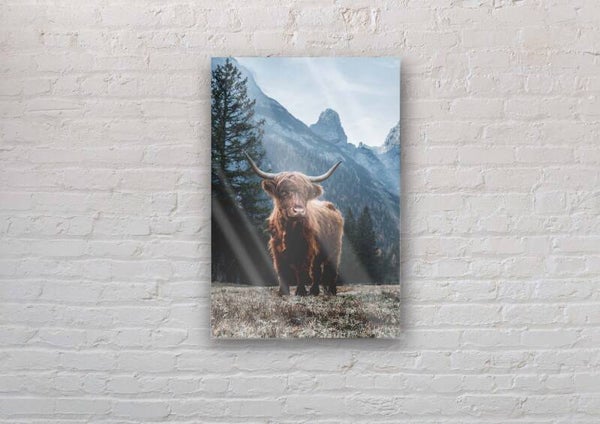 Plexiglas Hooglander 6